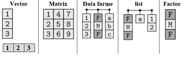 Data structure in R